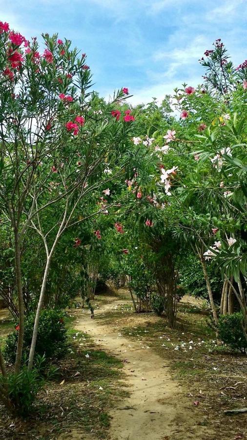 Koh Phaluay Eco Casa vacanze *